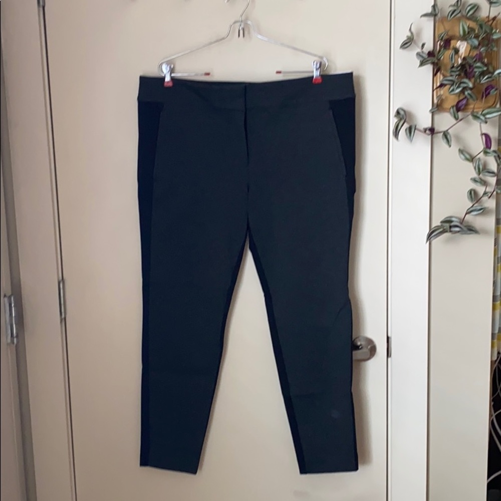 Ann Taylor Loft S16 Dress Legging NWT